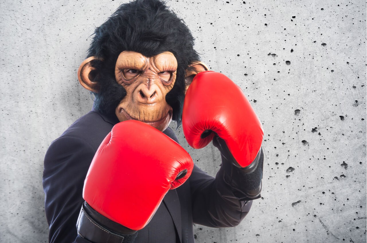 Man in monkey mask wearing boxing gloves