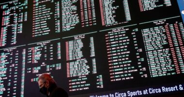 circa sportsbook in vegas with super bowl betting odds